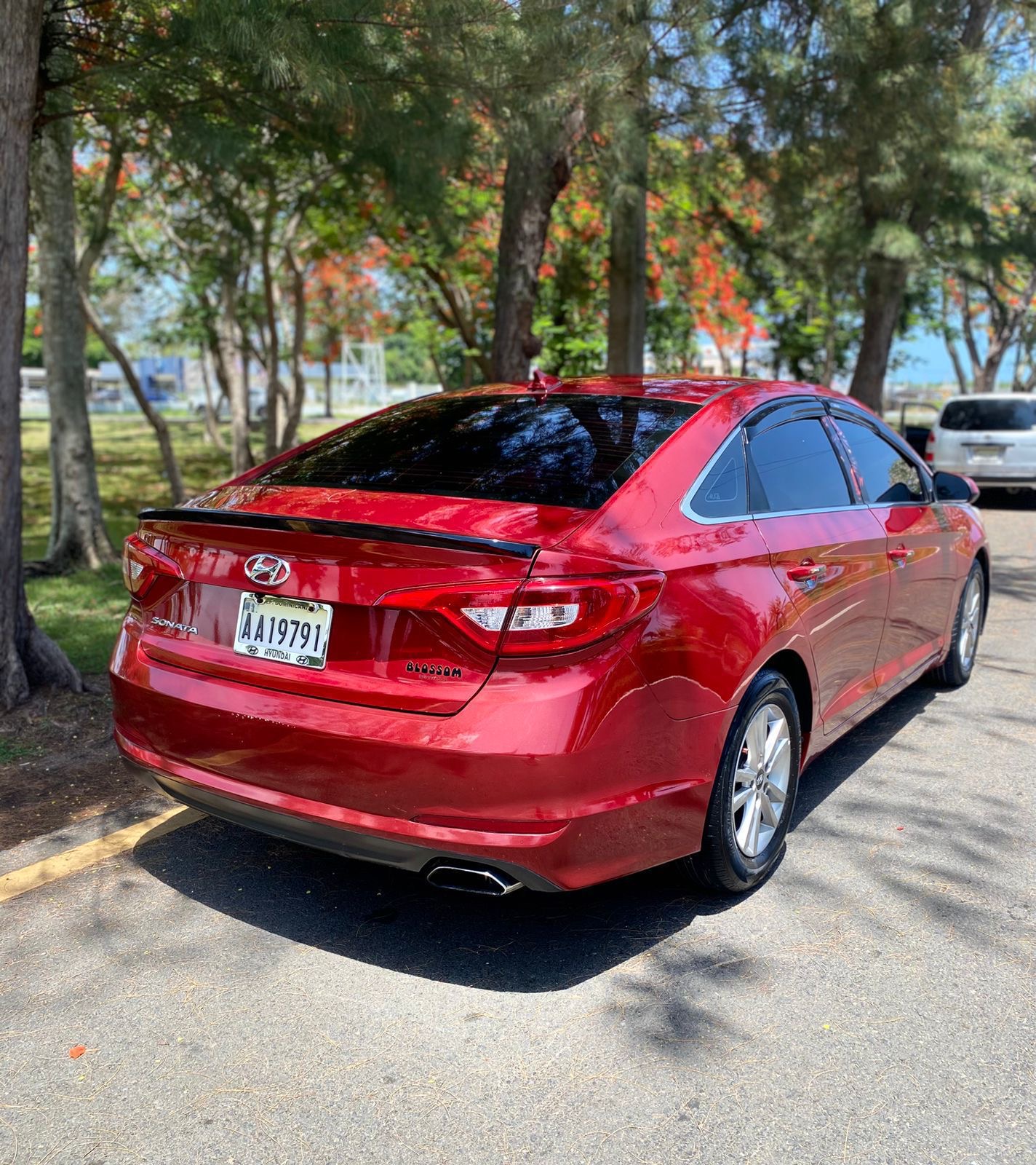 Hyundai Sonata parte trasera